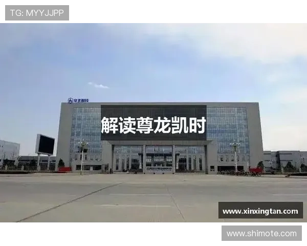 揭秘尊龙凯时网址官方网站的用户体验与客户服务