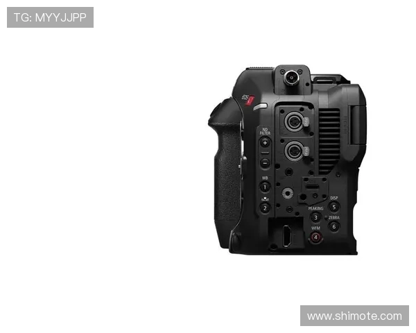 尊龙z6官网网页版注册流程及账号安全保障措施解析